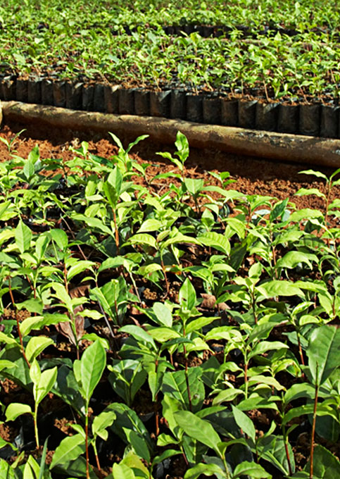 Sustainability-2